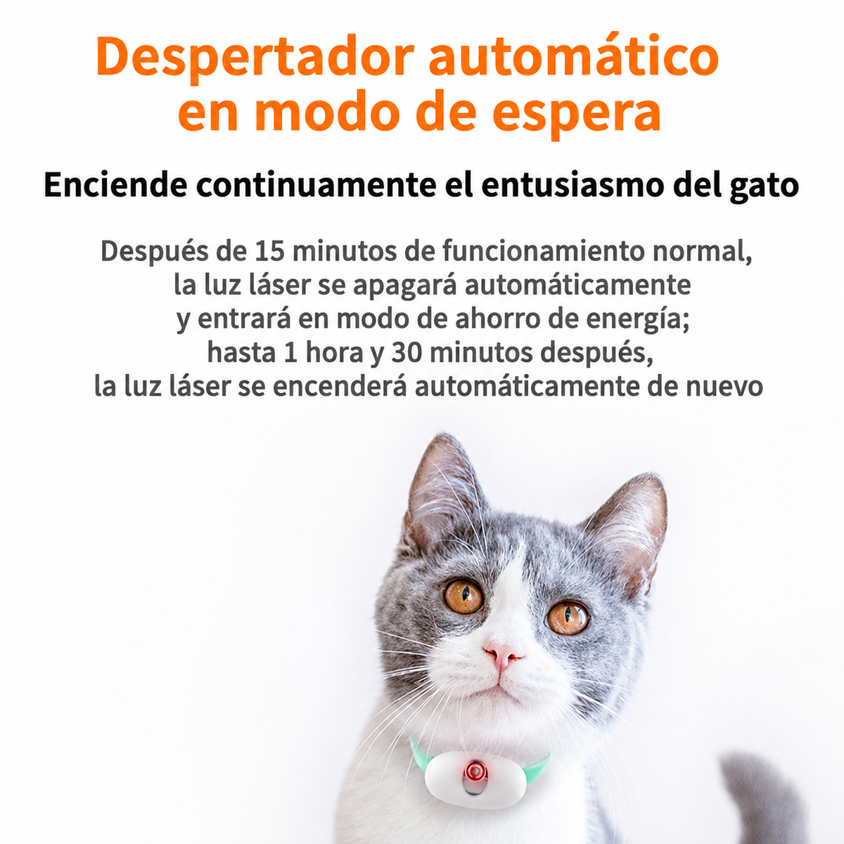 Collar inteligente para gatos